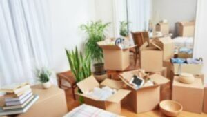 Packers and Movers Indiranagar