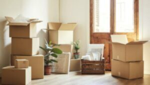 Packers and Movers Marathahalli