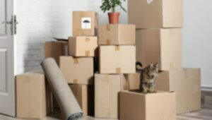 Packers and Movers Rajajinagar