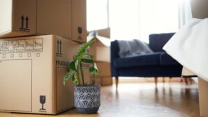 Packers and Movers Bellandur