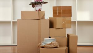 Packers and Movers Chandapura