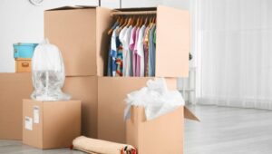 Packers and Movers Domlur