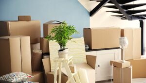 Packers and Movers Hoodi