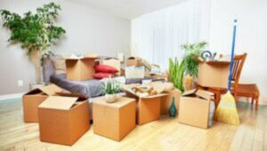 Packers and Movers Whitefield